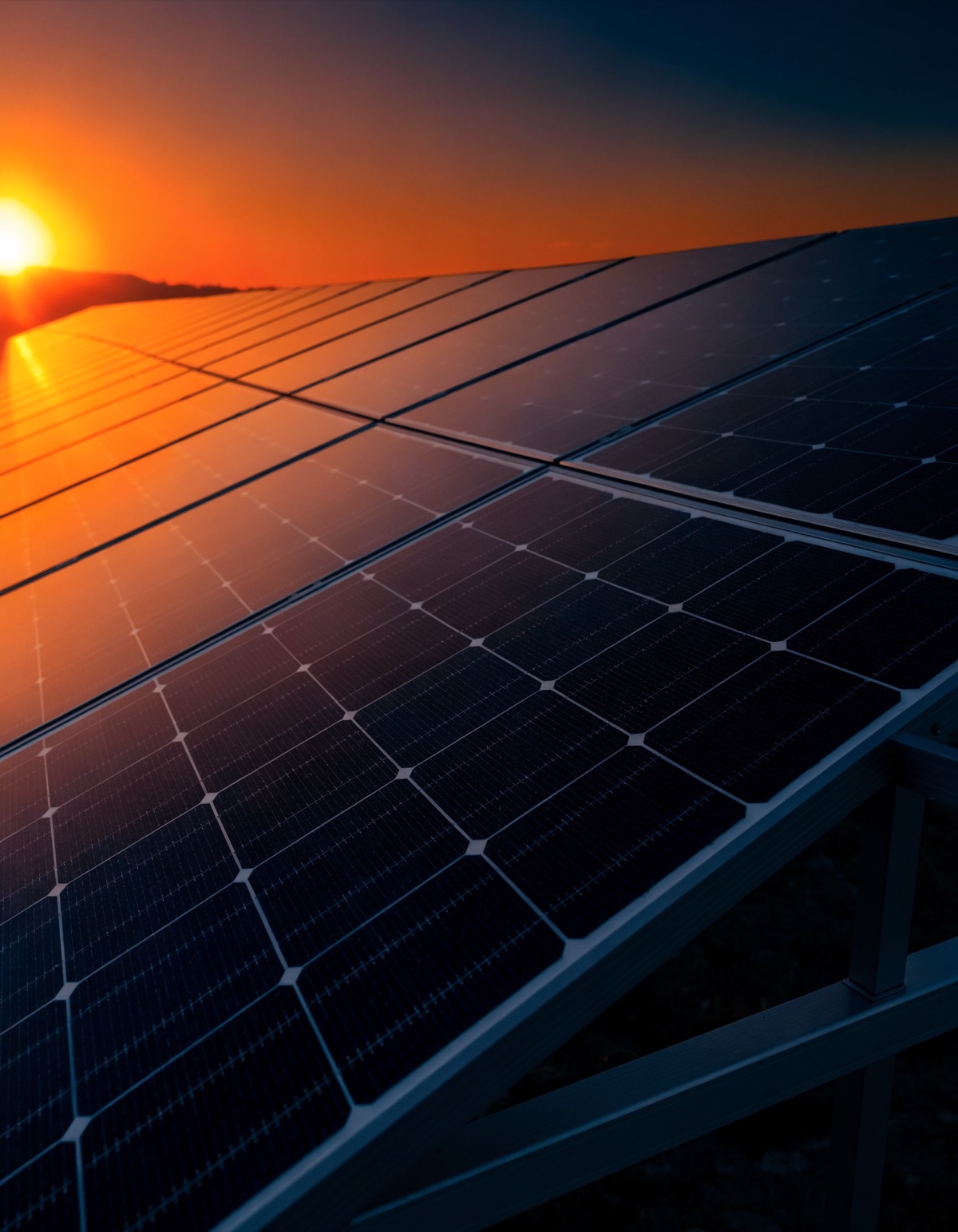 Rows of premium solar panels catching a golden sunrise