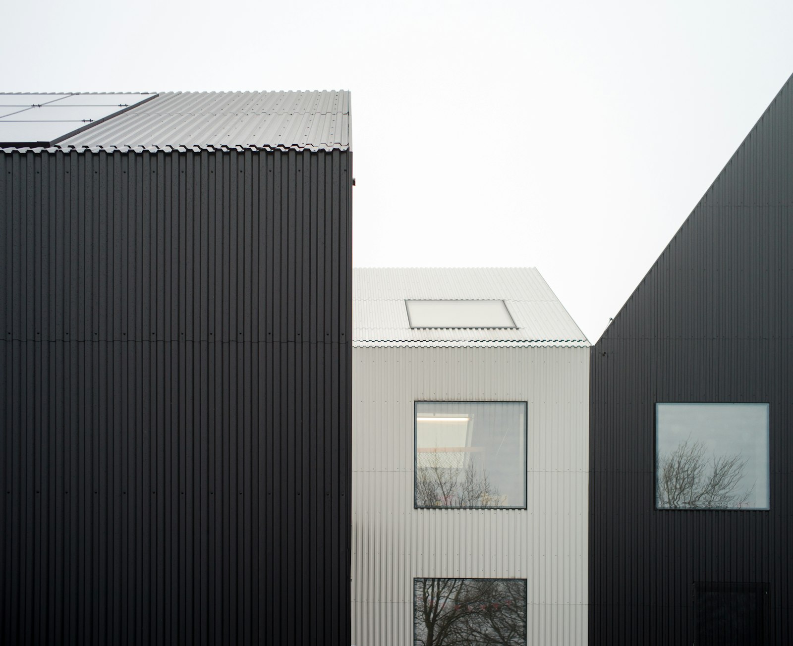 Metal Roofing